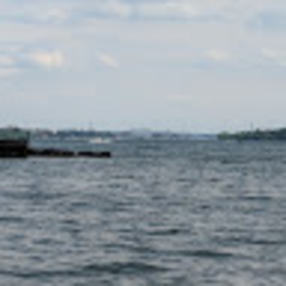 Meet your Posher, Laneise